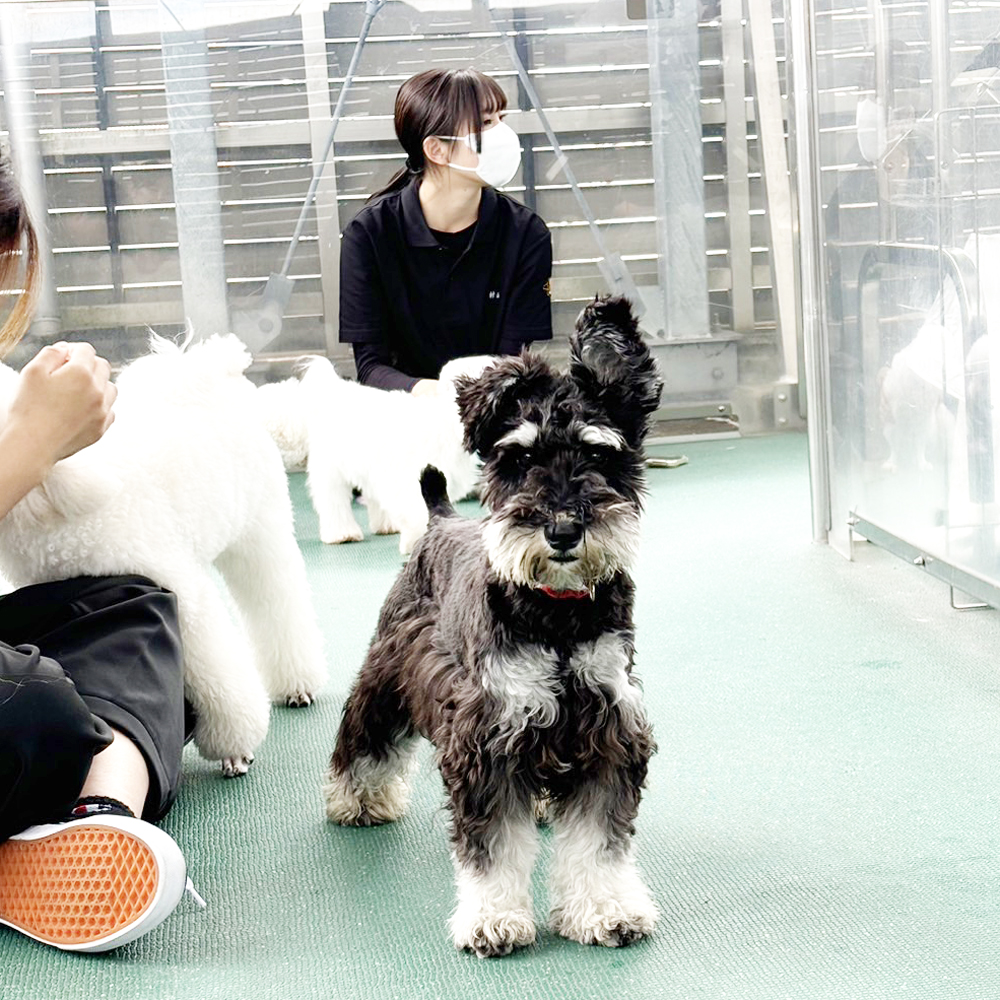 Ｗａｎ活で生徒が撮影した写真♪③